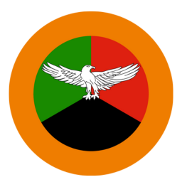 US Airforce Logo
